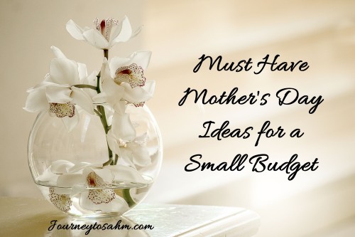 budget mothers day gifts