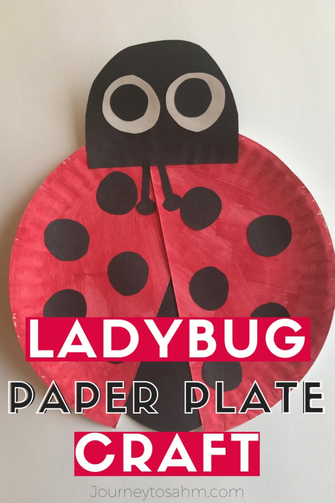 Ladybug Paper Plate Craft for Kids