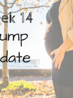 Follow me on my pregnancy bump journey! This is week 14 in my bump progression pics. Find out my cravings, symptoms, and how I am pushing through sciatica. I've even included a tip on how to get sciatica relief as well! Check out my weekly bump pictures and pregnancy photos along the way! #bumppictures #pregnancy #pregnantlife #momlife #parenting #maternity