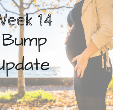 Bump Update: Week 14