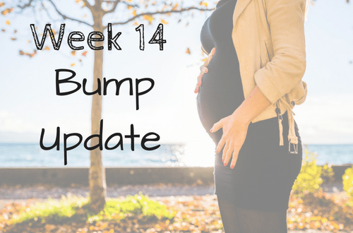 Follow me on my pregnancy bump journey! This is week 14 in my bump progression pics. Find out my cravings, symptoms, and how I am pushing through sciatica. I've even included a tip on how to get sciatica relief as well! Check out my weekly bump pictures and pregnancy photos along the way! #bumppictures #pregnancy #pregnantlife #momlife #parenting #maternity