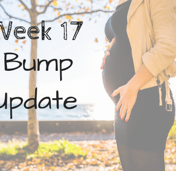 Bump Update: Week 17