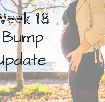 Bump Update: Week 18