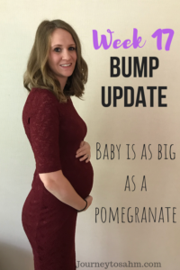 My week 17 pregnancy bump update! Check out my pregnancy symptoms, cravings, and bump progression pics. I post bump pictures weekly and love having you walk through this second pregnancy with me! #momtobe #expecting #momlife #parenting