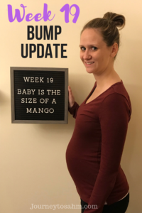 Here is my week 19 pregnancy bump update! I am in the second trimester and telling you all about my pregnancy cravings and symptoms. Find out when our gender reveal is and follow along with these bump progression pics! I post weekly pregnancy photos. #momtobe #pregnant #pregnancy #pregnancyproblems #pregnancycravings #moms #expectantmom #bumpupdate