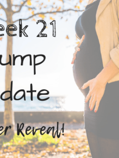 It's our gender reveal post! Find out if we are having a little baby girl or boy. We put those Old Wives Tales to the test, so it's time to see how they held up. It's week 21 in my pregnancy, so he's a quick bump update and weekly progresion pics in my second trimester. #pregnancy #momtobe #momlife #pregnancyjourney #bumpupdate