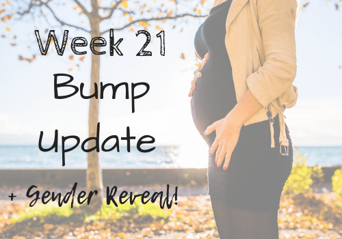 Gender Reveal! It’s a….