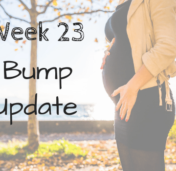 Bump Update: Week 23