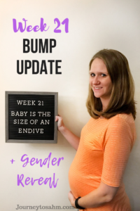 It's our gender reveal post! Find out if we are having a little baby girl or boy. We put those Old Wives Tales to the test, so it's time to see how they held up. It's week 21 in my pregnancy, so he's a quick bump update and weekly progresion pics in my second trimester. #pregnancy #momtobe #momlife #pregnancyjourney #bumpupdate