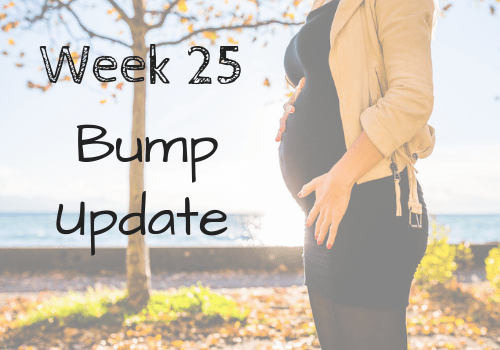 Bump Update: Week 25