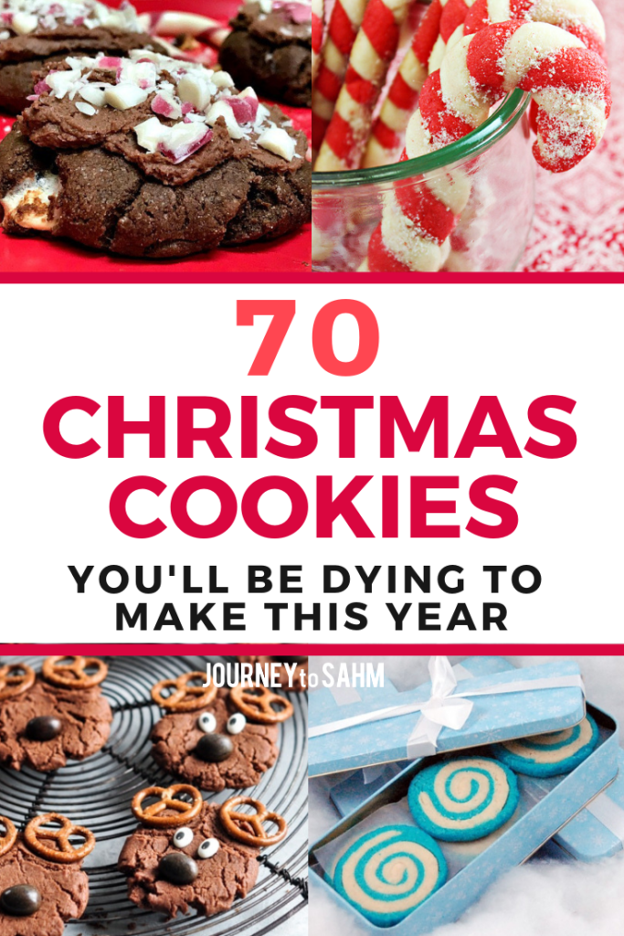 The best Christmas cookies recipes with pictures for cookie exchanges and family parties. Easy cookie recipes perfect for the kids this holiday. Includes traditional, decorated, italian, classic, and more! #christmas #cookierecipes #christmascookies #dessert #baking