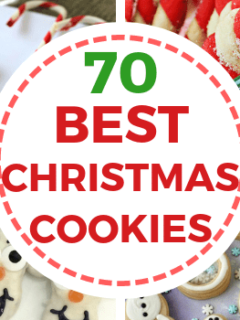 The best Christmas cookies recipes with pictures for cookie exchanges and family parties. Easy cookie recipes perfect for the kids this holiday. Includes traditional, decorated, delicious, italian, classic, and more! #christmas #cookierecipes #christmascookies #dessert #baking