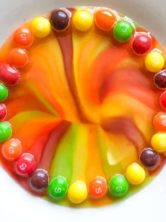 Easy Science Project With Skittles