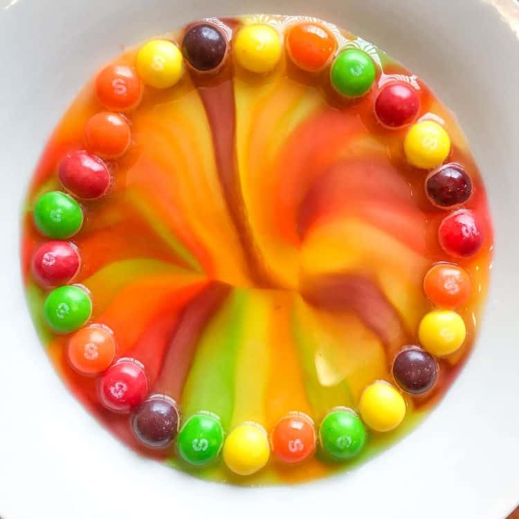 Easy Science Project With Skittles