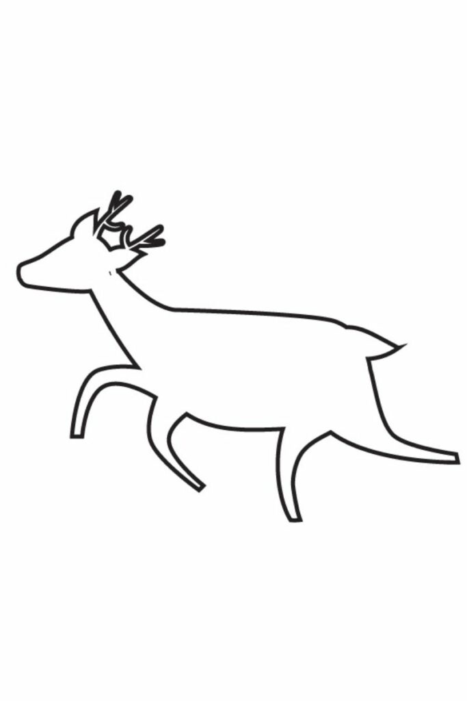 Reindeer template running